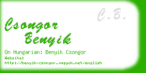 csongor benyik business card